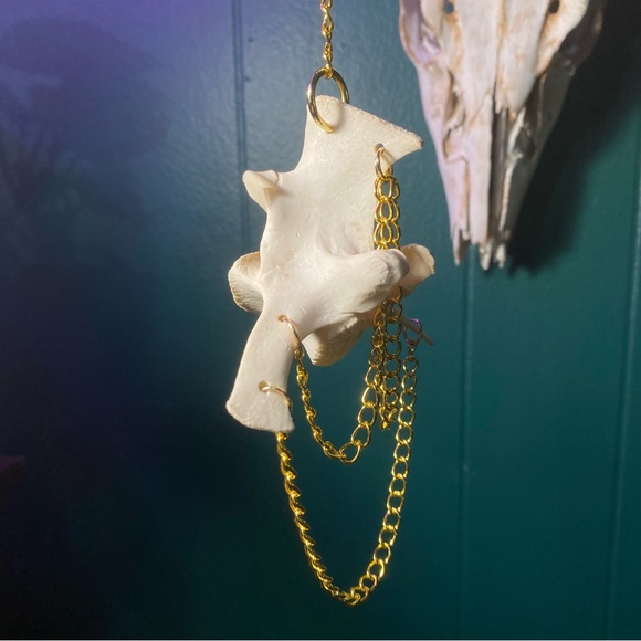 SOLD - Deer Vertebrae Bone Golden Chain Decoration - Picture 8 of 10